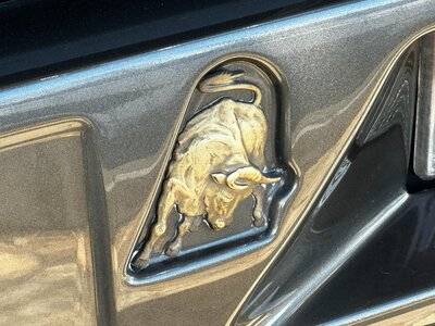1993 Lamborghini COUNTACH 照片 127