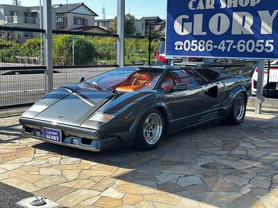 1993 Lamborghini COUNTACH 照片 128