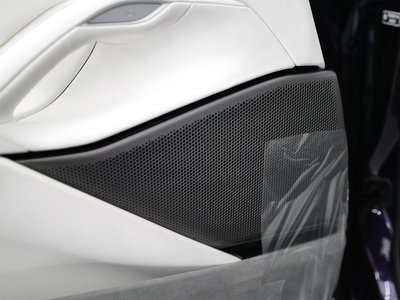 2025 Ferrari PUROSANGUE 缩略图 44