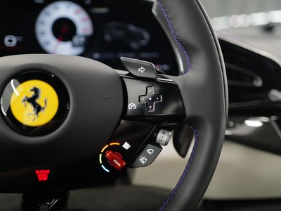 2025 Ferrari PUROSANGUE 缩略图 21