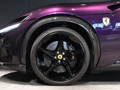 2025 Ferrari PUROSANGUE 缩略图 61