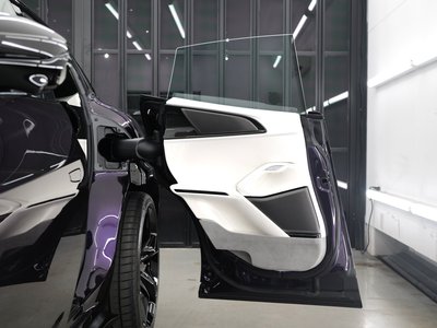 2025 Ferrari PUROSANGUE 缩略图 45