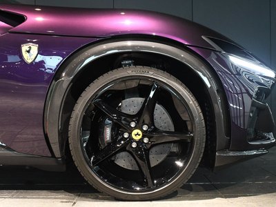 2025 Ferrari PUROSANGUE 缩略图 64