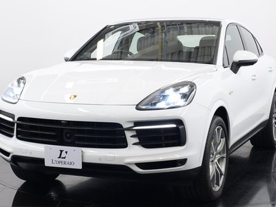 2020 Porsche CAYENNE photo 16