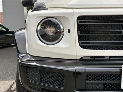 2021 Mercedes-BENZ G-CLASS thumbnail 30