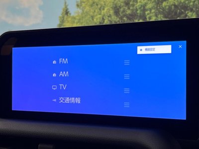 2024 Toyota LAND CRUISER 250 缩略图 29