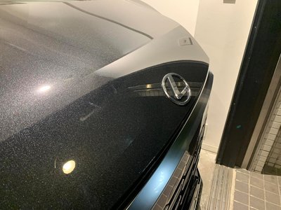 2024 Lexus LM thumbnail 48