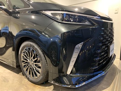 2024 Lexus LM photo 7