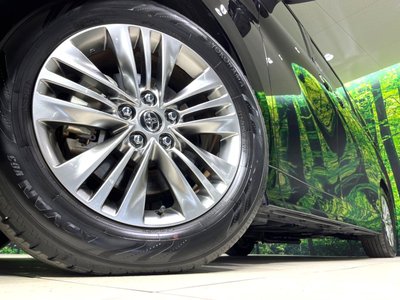 2025 Toyota ALPHARD 照片 15