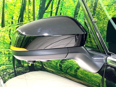 2025 Toyota ALPHARD 照片 71