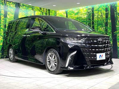 2025 Toyota ALPHARD 照片 18