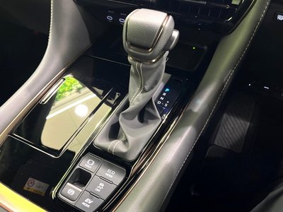 2025 Toyota ALPHARD 照片 36