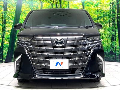 2025 Toyota ALPHARD 照片 16