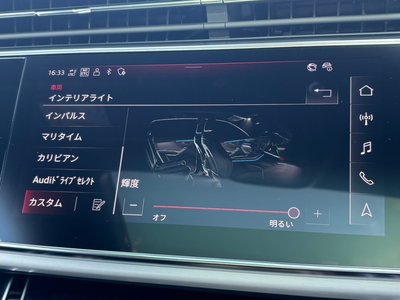 2024 AUDI Q8 缩略图 28