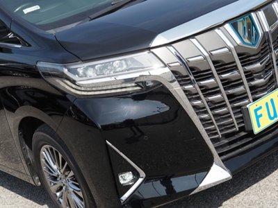 2021 Toyota ALPHARD 照片 14