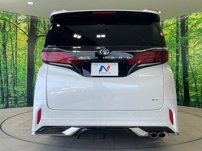 2025 Toyota ALPHARD 照片 15
