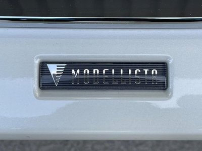 2025 Toyota ALPHARD 照片 30