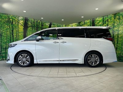 2025 Toyota ALPHARD 照片 25