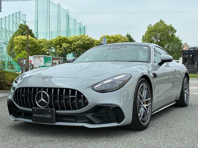2025 Mercedes-BENZ GT AMG — фото 11