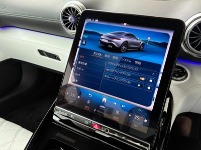 2025 Mercedes-BENZ GT AMG — миниатюра 39