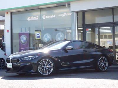 2019 BMW 8 SERIES photo 9