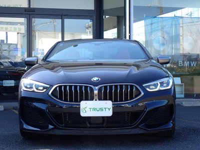 2019 BMW 8 SERIES photo 11