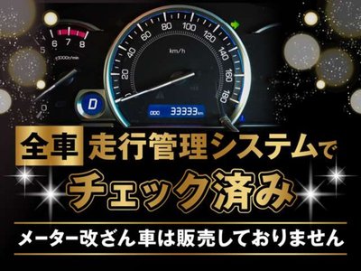 2023 Toyota ALPHARD 照片 4