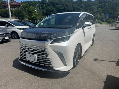 2024 Lexus LM 照片 1