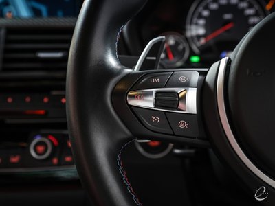 2017 BMW M3 SEDAN 缩略图 76