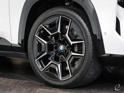 2024 BMW XM thumbnail 20