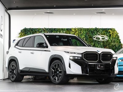 2024 BMW XM photo 10