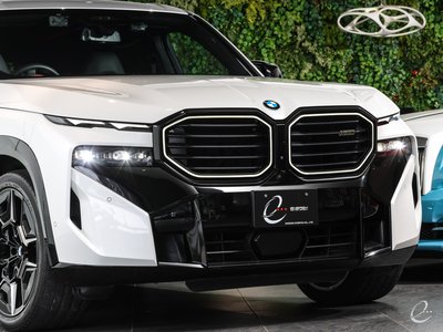 2024 BMW XM photo 15