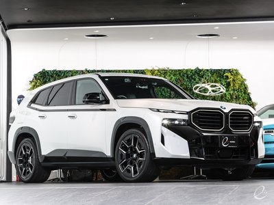 2024 BMW XM photo 11