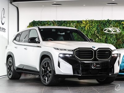 2024 BMW XM photo 12