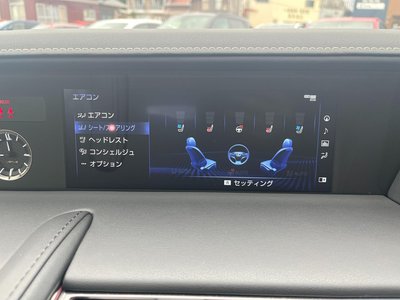 2022 Lexus LC CONVERTIBLE photo 10
