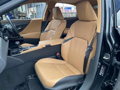 2023 Lexus ES thumbnail 20