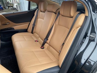 2023 Lexus ES thumbnail 19
