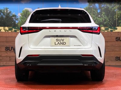 2023 Lexus NX photo 15