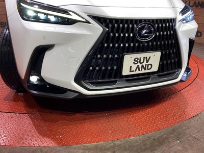 2023 Lexus NX thumbnail 23