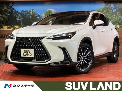 2023 Lexus NX photo 1