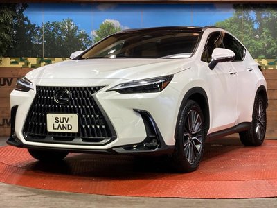 2023 Lexus NX thumbnail 28