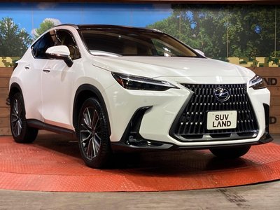 2023 Lexus NX photo 16