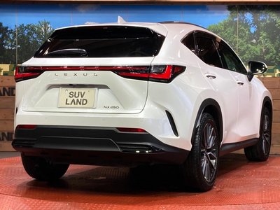 2023 Lexus NX thumbnail 17