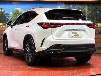2023 Lexus NX thumbnail 30