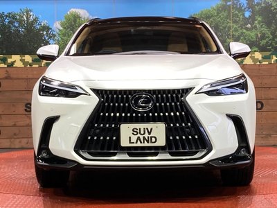2023 Lexus NX photo 14