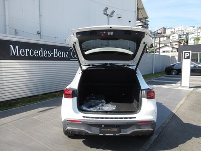 صورة مصغرة 14 لـ 2025 Mercedes-BENZ EQA