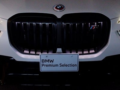 2023 BMW X7 — фото 12