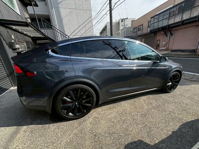 2017 Tesla MODEL X — миниатюра 10