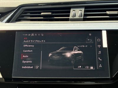 2025 AUDI Q8 SPORTBACK E-TRON thumbnail 30
