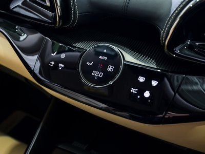 2024 Ferrari PUROSANGUE 缩略图 49
